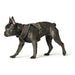Каишка за Куче Hunter London Comfort 52-62 cm Кафяв Размер