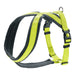 Каишка за Куче Hunter London Comfort 52-62 cm Верде Лимон