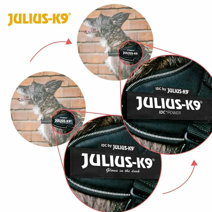 Каишка за Куче Julius K9 IDC Червен S - Mini