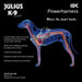 Каишка за Куче Julius K9 IDC Каубой 2 Baby 2 (XS/S)