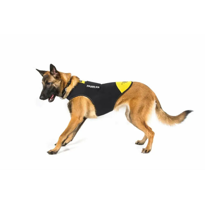 Каишка за Куче Julius K9 IDC L/XL 2