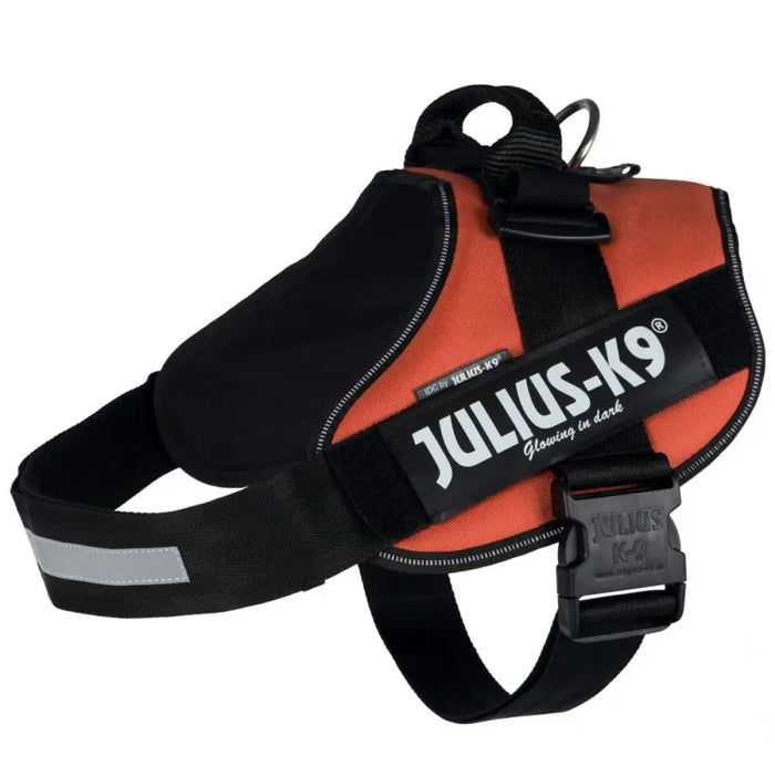Каишка за Куче Julius K9 IDC Оранжев XL 3 82-118 CM