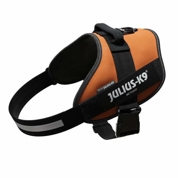 Каишка за Куче Julius K9 IDC Оранжев XL 3 82-118 CM