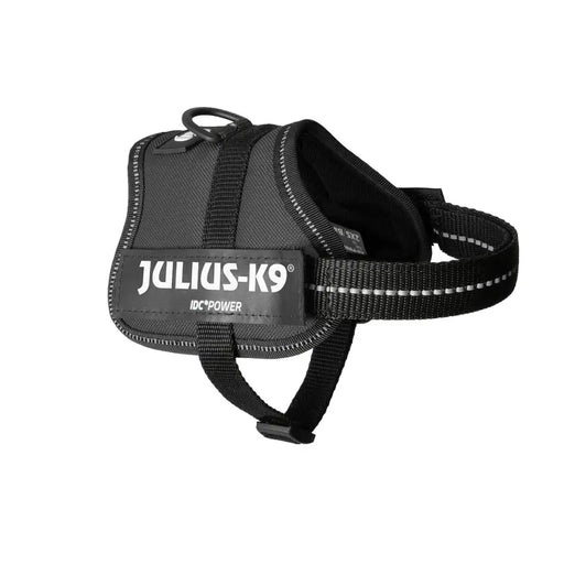 Каишка за Куче Julius K9 Power Черен 2 Baby 2 (XS/S)