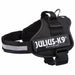 Каишка за Куче Julius K9 Power Черен L 1