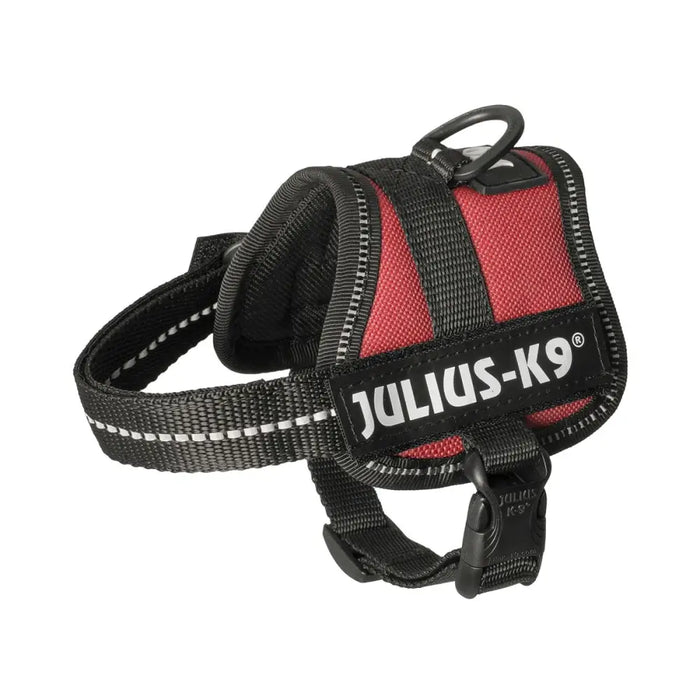 Каишка за Куче Julius K9 Power Червен 1 Baby 1 (XS)