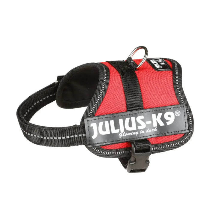 Каишка за Куче Julius K9 Power Червен 2 Baby 2 (XS/S)