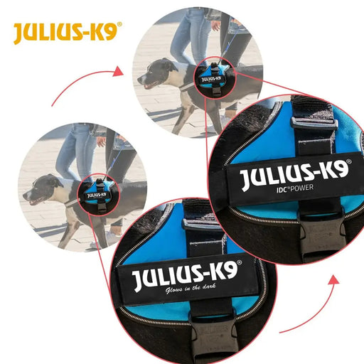Каишка за Куче Julius K9 Power Син 1 Baby 1 (XS)