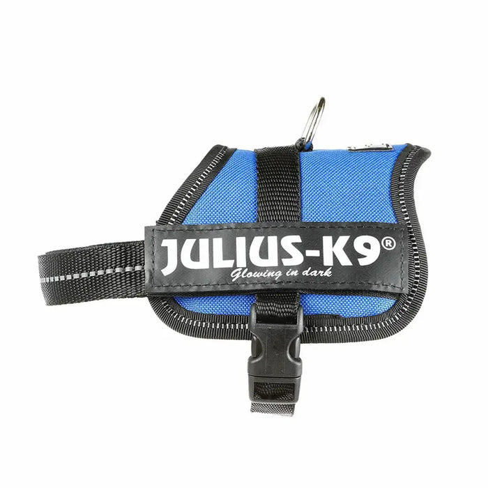 Каишка за Куче Julius K9 Power Син 2 Baby 2 (XS/S)
