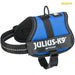 Каишка за Куче Julius K9 Power Син 2 Baby 2 (XS/S)