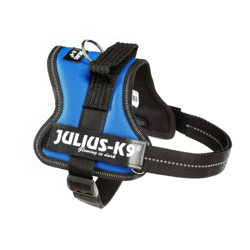 Каишка за Куче Julius K9 Power Син M