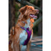 Каишка за Куче Red Dingo Dingo 30-47 cm 37-52 cm Лилав S