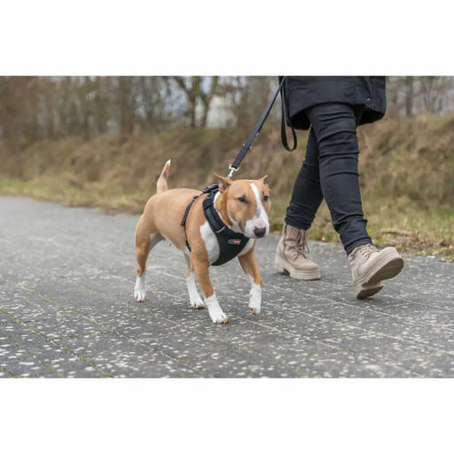 Каишка за Куче Trixie Premium FlexMesh Черен L