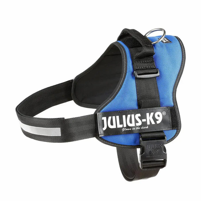 Каишка за Куче Julius K9 Power Син XL 3