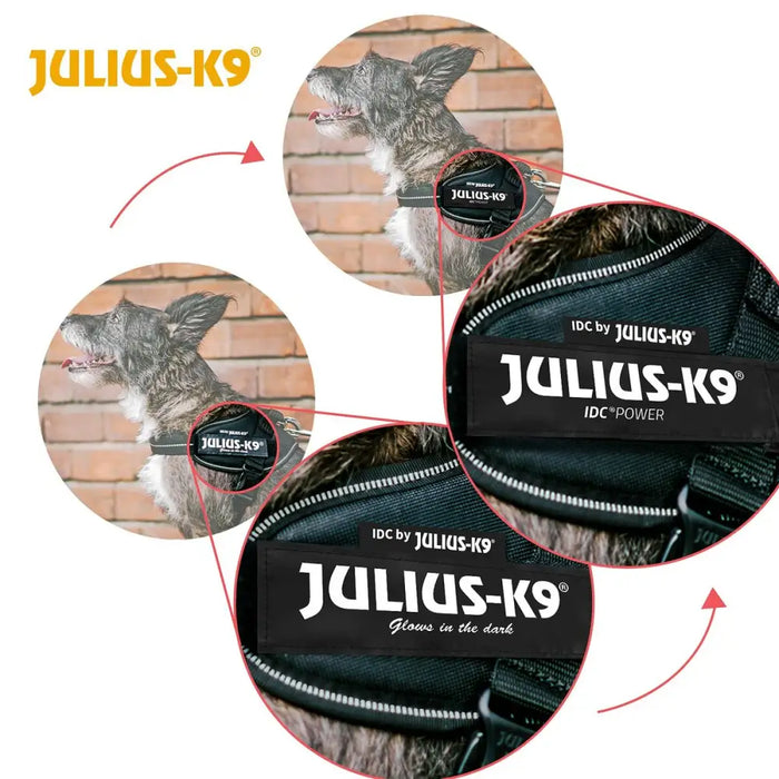 Каишка за Куче Julius K9 IDC Жълт M