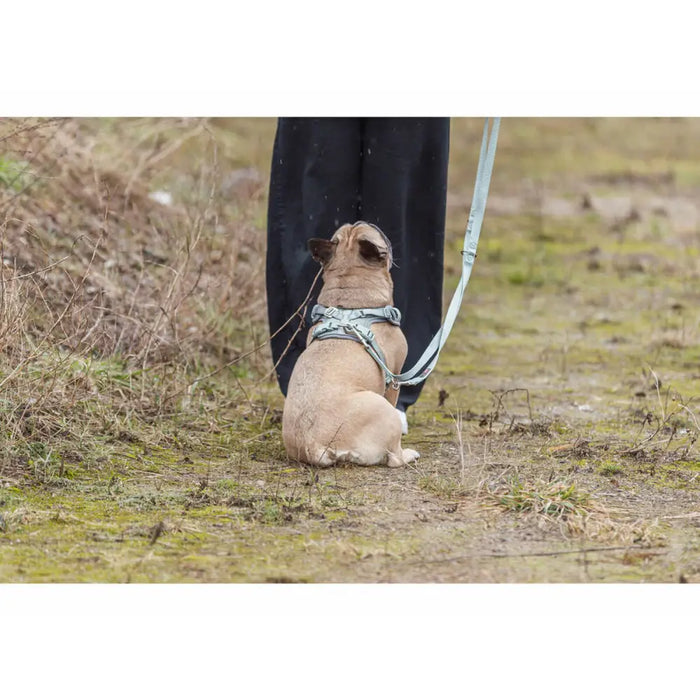 Каишка за Куче Trixie Premium FlexMesh M