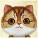 Калъф Nimmy Big Eyed Pet 2.0 Cat за iPhone 16 - зелен