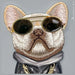 Калъф Nimmy Glasses Cool Dog за iPhone 15 - сив