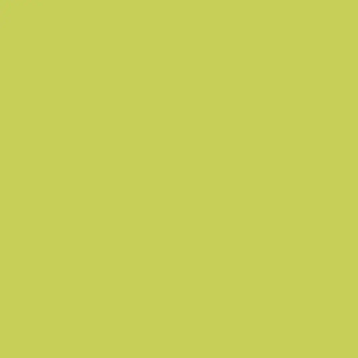 Калъфка за възглавница Happy Home MIX COLORS Шам-фъстък