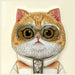 Калъф Nimmy Cool&Cute 2.0 Cat за iPhone 15 - бежов