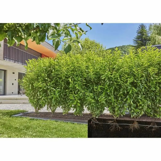 Капкова тръба Gardena 13503-20 25 m