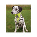 Кърпичка Trixie