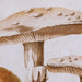 Картина DKD Home Decor Бамбук Кристал 50 x 70 x 2,8 cm 50 x
