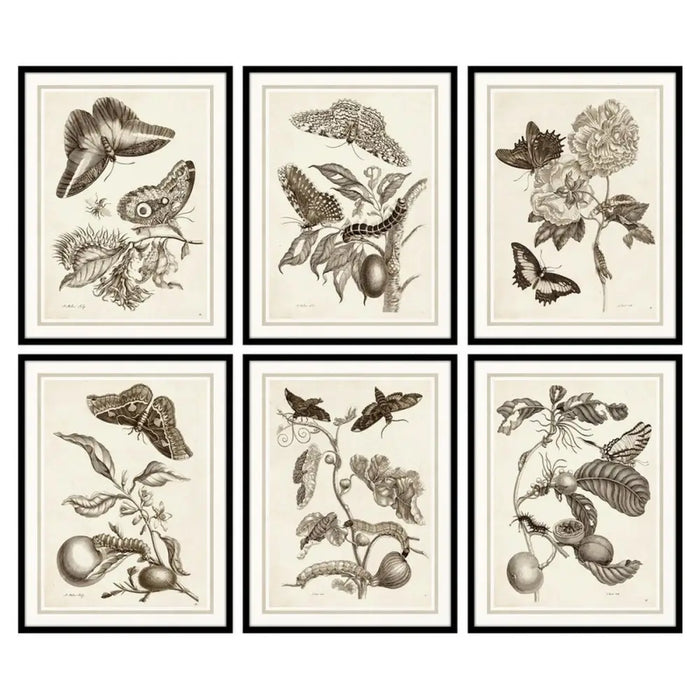 Картина DKD Home Decor Кристал Дървен MDF 50 x 2,5 x 65 cm