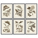 Картина DKD Home Decor Кристал Дървен MDF 50 x 2,5 x 65 cm