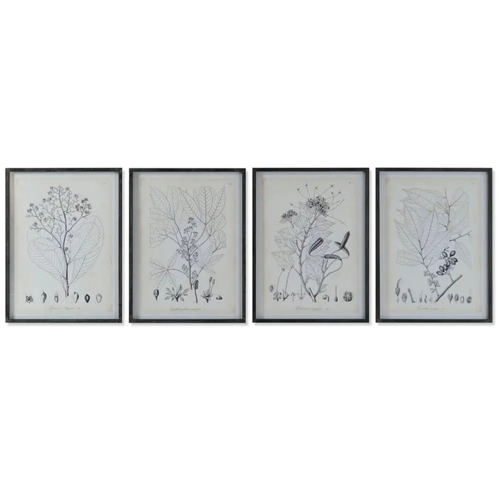 Картина DKD Home Decor Модерен Ботанически растения 45 x