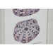 Картина Home ESPRIT Кристал Ела 35 x 2 x 45 cm