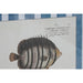 Картина Home ESPRIT Кристал Ела 40 X 2,5 X 55 cm