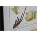 Картина Home ESPRIT Кристал Ела 50 x 2,5 x 65 cm 50 x 3 x