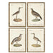 Картина Home ESPRIT Кристал Pатан 40 x 2,5 x 50 cm