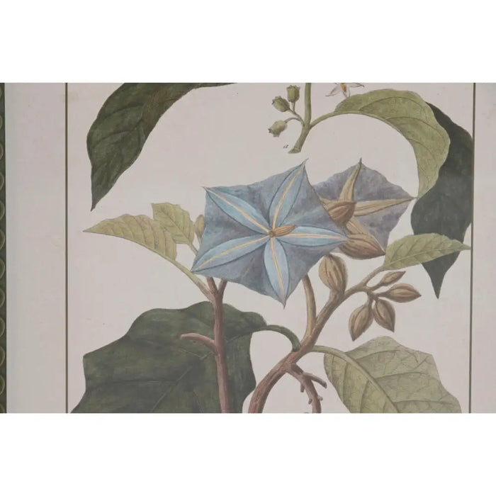 Картина Home ESPRIT Кристал Ела 30 x 2,5 x 40 cm (6 броя)