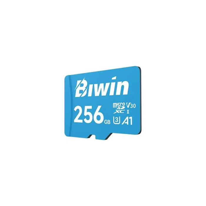 Kарта памет Micro SDXC Biwin MS100 256 GB