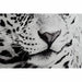 Картина DKD Home Decor Алуминий Кристал 100 x 2,5 x 100 cm