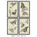 Картина DKD Home Decor Кристал Ела 40 x 2,8 x 60 cm 40 x 60