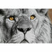 Картина DKD Home Decor Кристал полистирен 67 x 3 x 93 cm (3