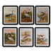 Картина DKD Home Decor Кристал Дървен MDF 40 x 50 x 1,8 cm