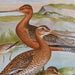 Картина DKD Home Decor Кристал Дървен MDF 40 x 50 x 1,8 cm