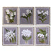 Картина DKD Home Decor Кристал Ела 50 x 60 x 2,8 cm 50 x