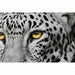 Картина DKD Home Decor Кристал полистирен 67 x 3 x 93 cm (3