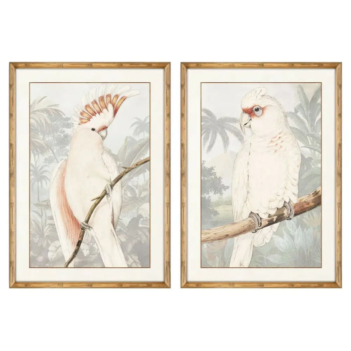 Картина DKD Home Decor Папагал Тропически 50 x 3 x 70 cm (2