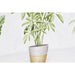 Картина DKD Home Decor Растение (90 x 2,3 x 30 cm) (90 x