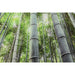 Картина Home ESPRIT калено стъкло 150 x 0,4 x 100 cm