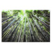 Картина Home ESPRIT калено стъкло 150 x 0,4 x 100 cm