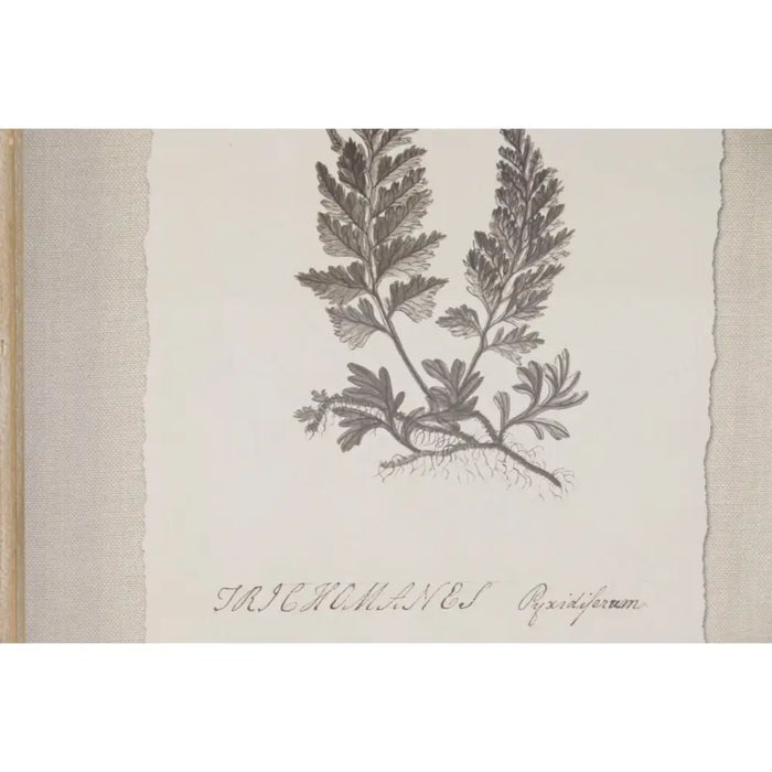Картина Home ESPRIT Кристал Ела 30 x 2,5 x 40 cm (9 броя)