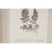 Картина Home ESPRIT Кристал Ела 30 x 2,5 x 40 cm (9 броя)