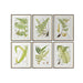 Картина Home ESPRIT Кристал Ела 50 x 2,5 x 65 cm 50 x 3 x